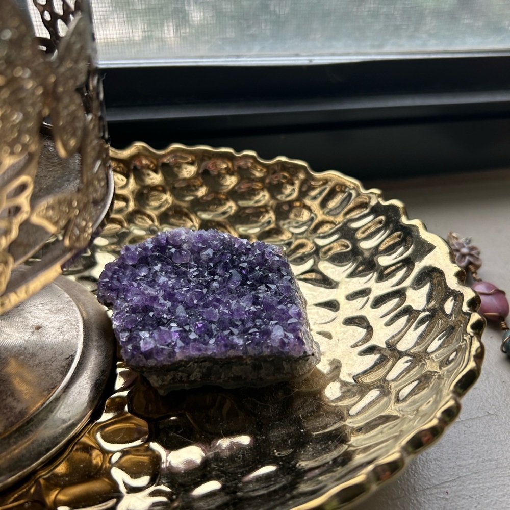 Meet your Posher, Elvina